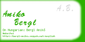 aniko bergl business card